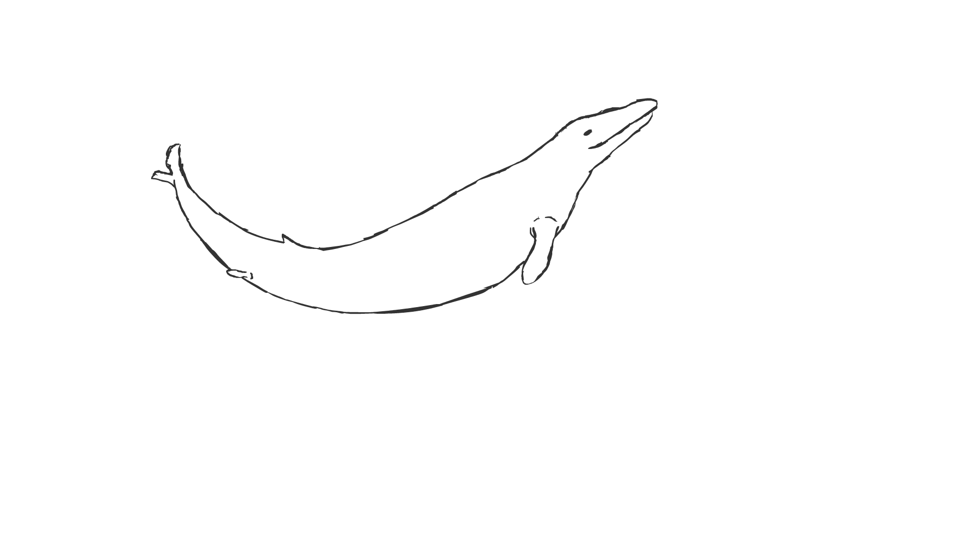 Prehistoric Whale Swim cycle