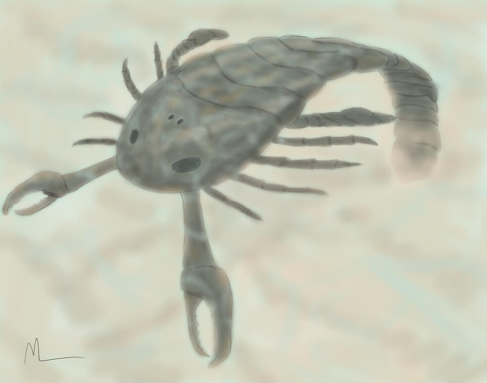 Pterygotus