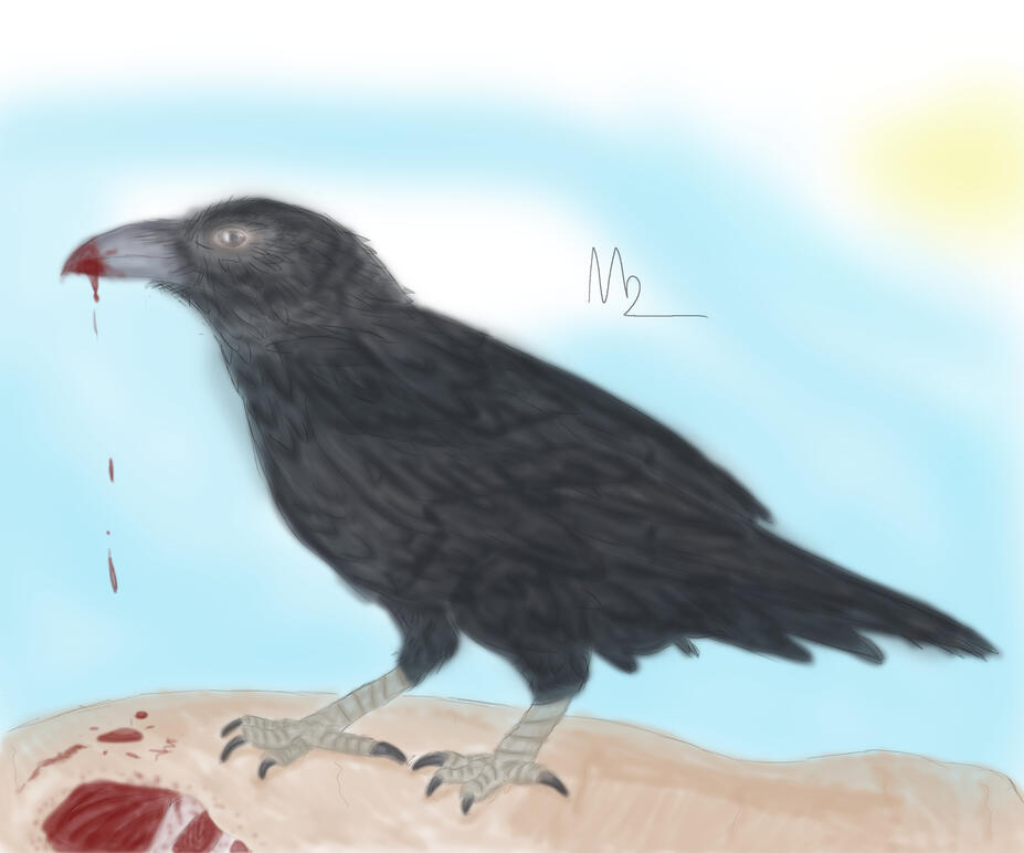 Raven