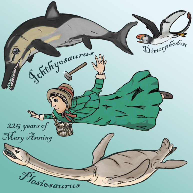 225 Years of Mary Anning