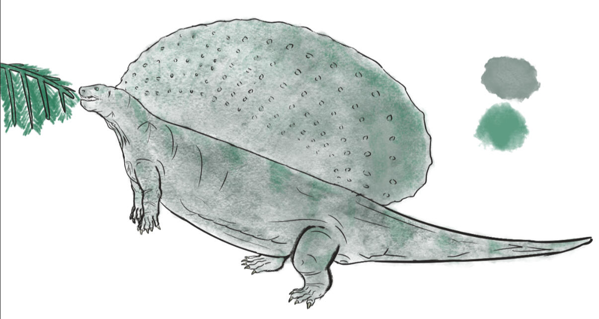 Edaphosaurus