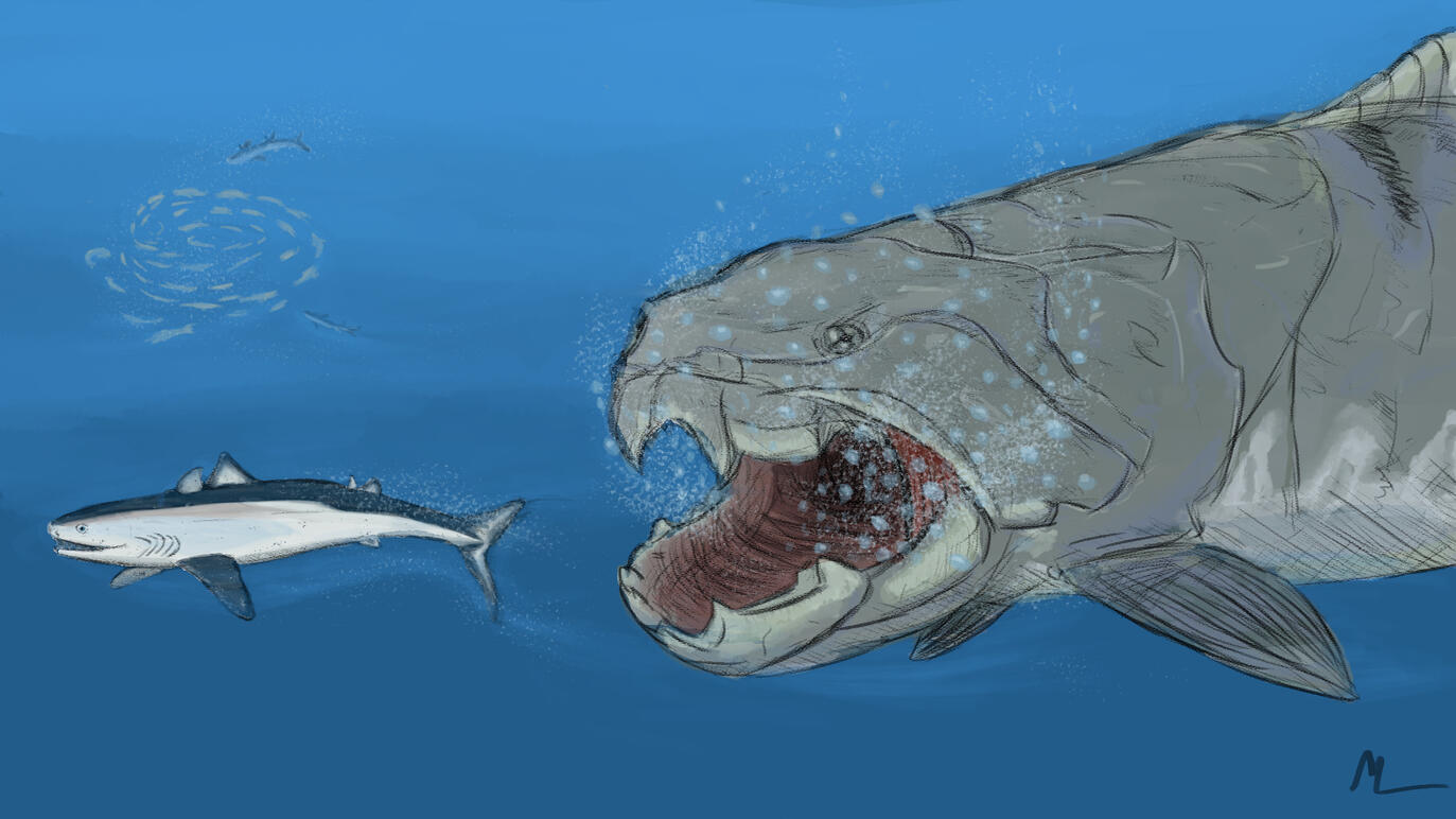 Dunkleosteus