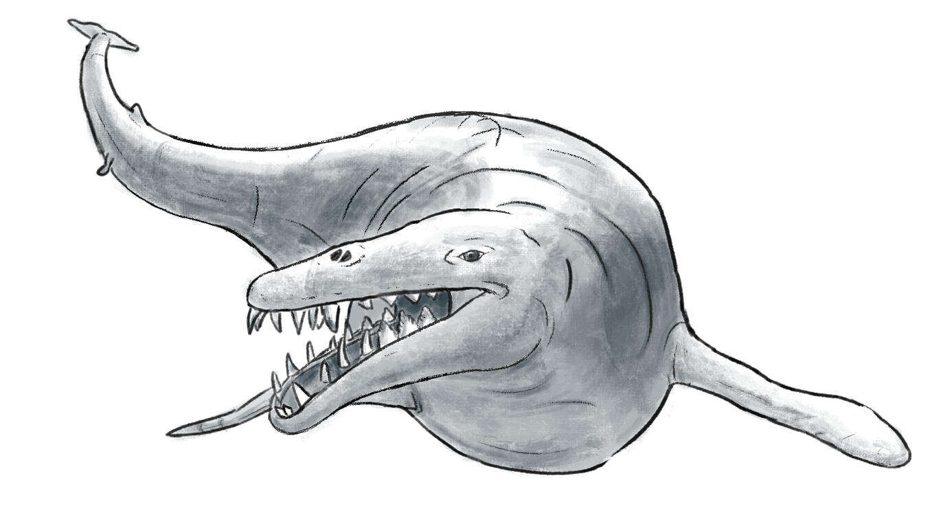 Basilosaurus