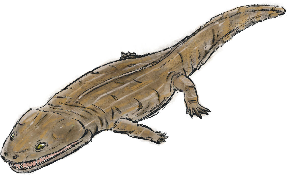 Metaposaurus